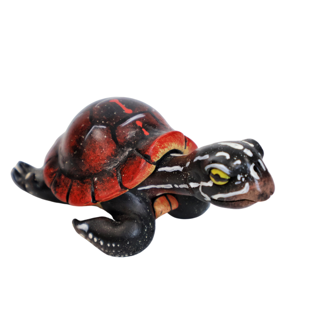 Red Belly Turtle