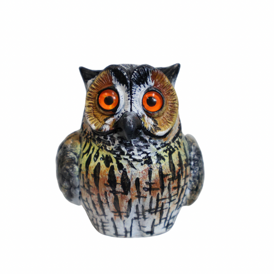 Long-Eared Owl