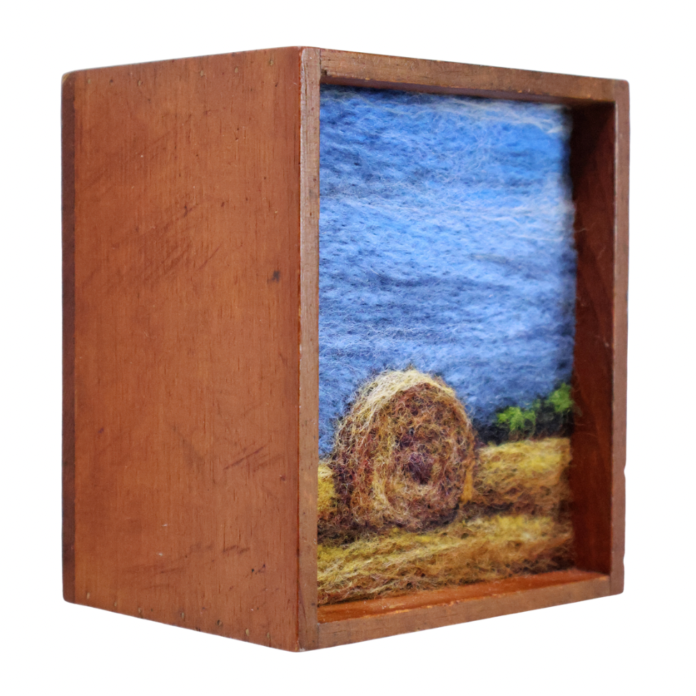 Haybale under Dark Skies