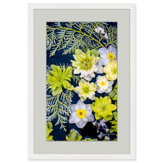 Botanical Ballet