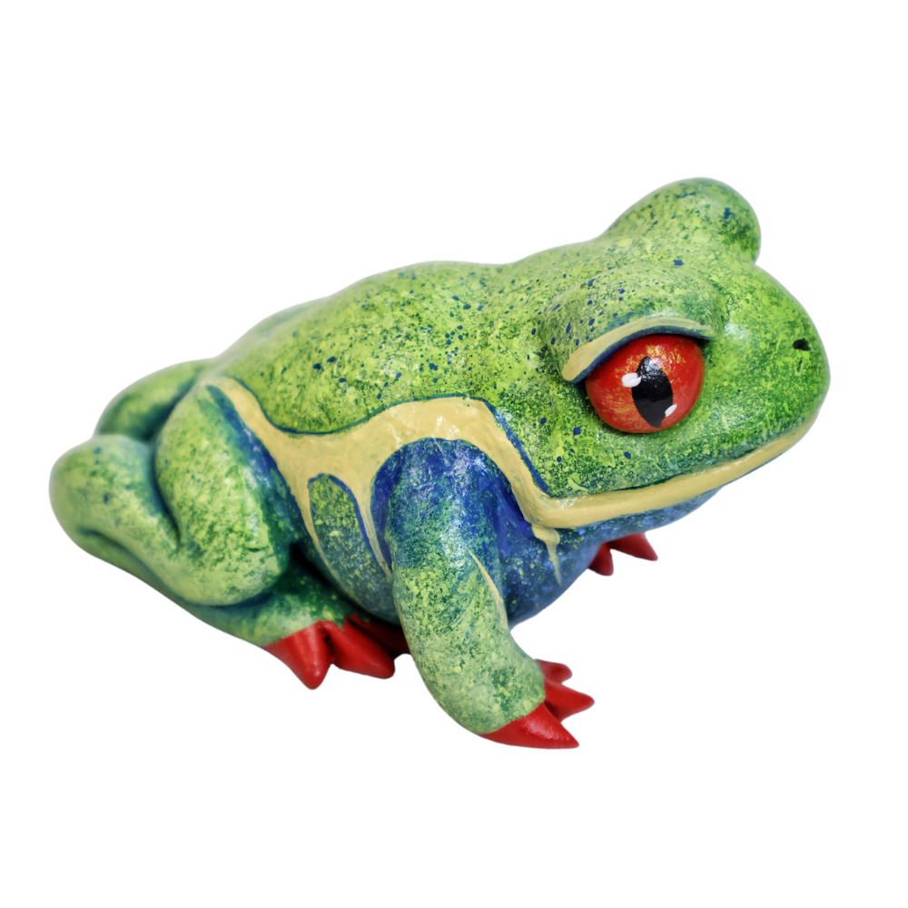 Red Eye Tree Frog