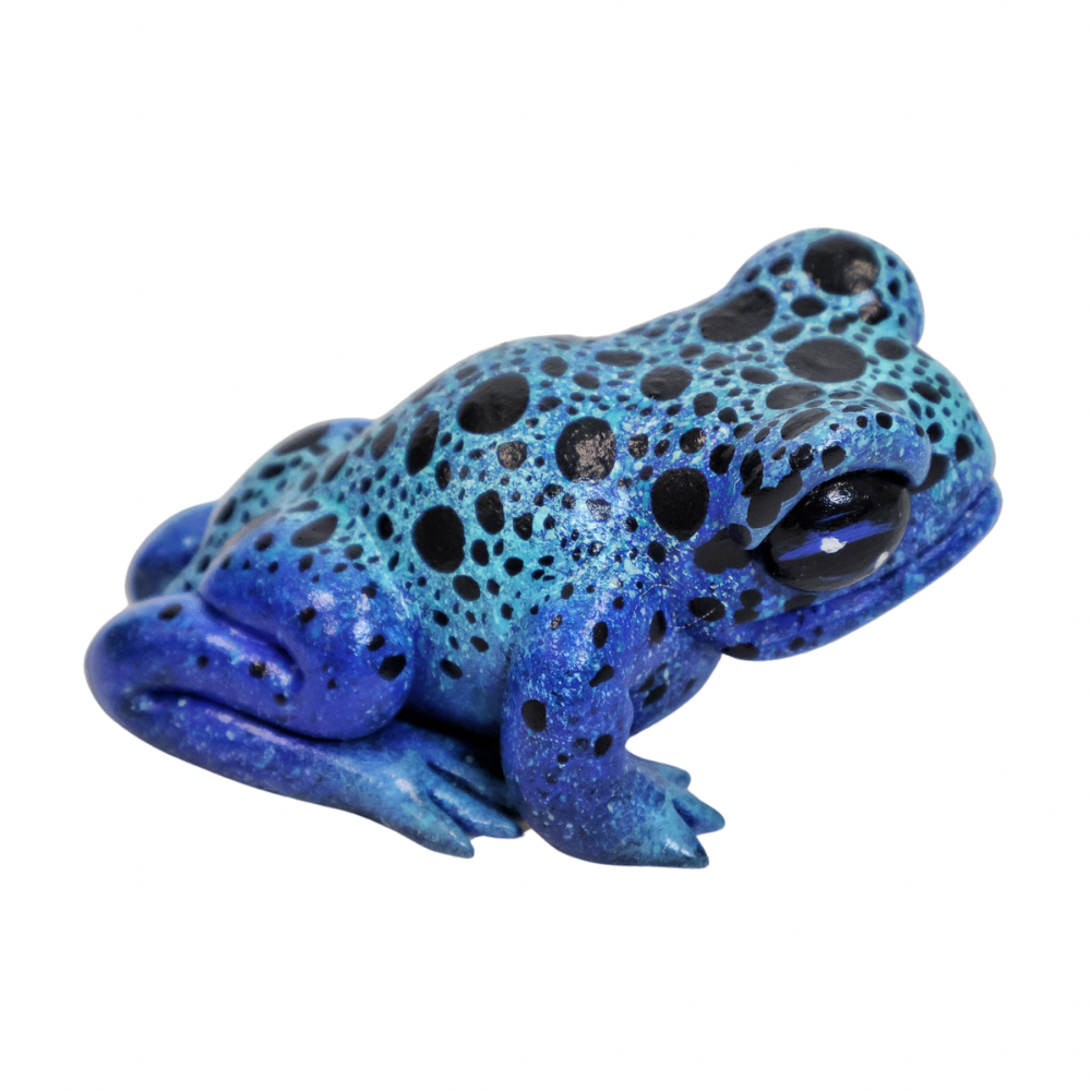 Poison Dart Frog