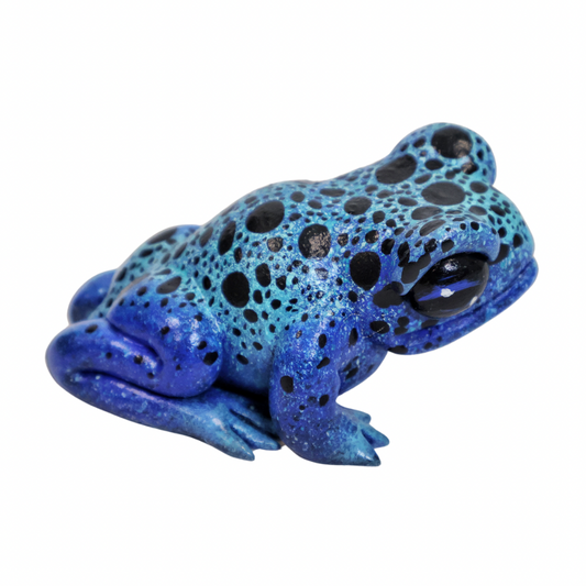 Poison Dart Frog