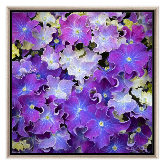 Petal Dance