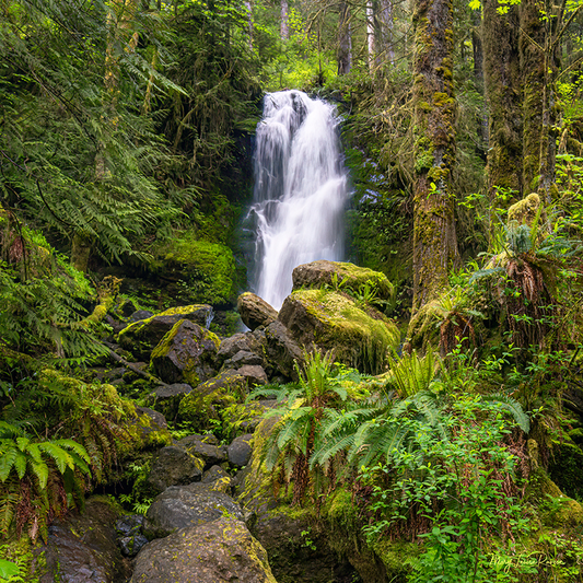 Verdant View