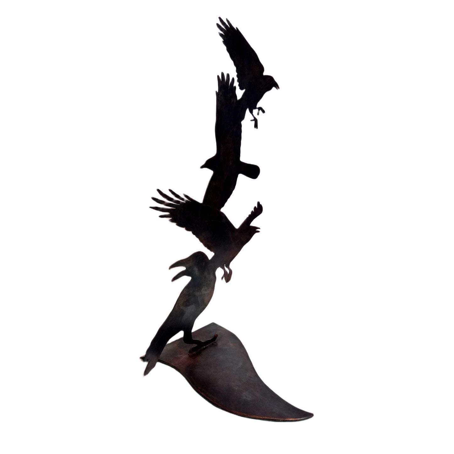 "As the Crow Flies"