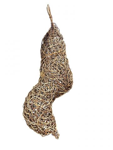 Cocoon
