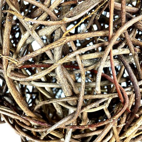 Cocoon