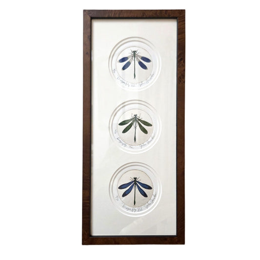 3 Dragonflies (f)