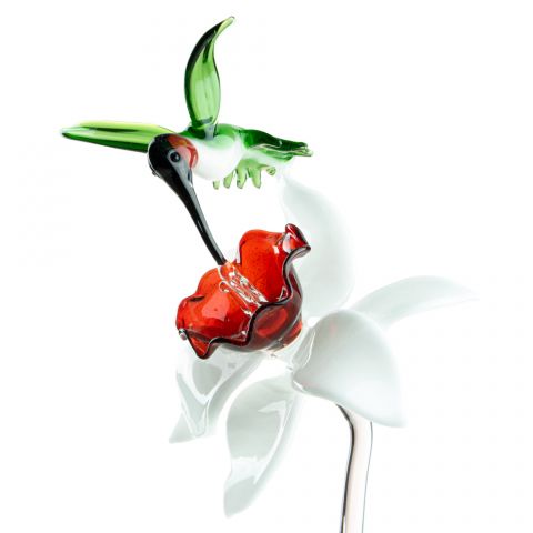Daffodil & Hummingbird
