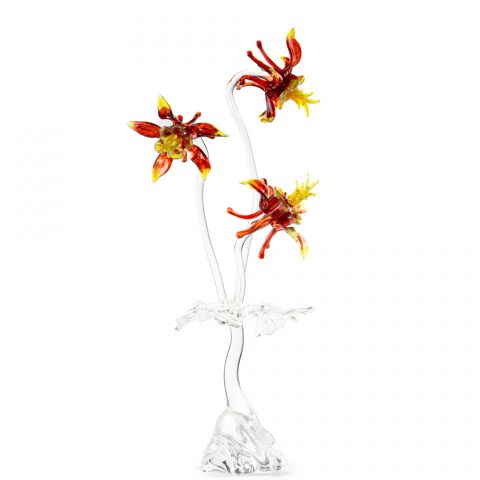 Red Columbine