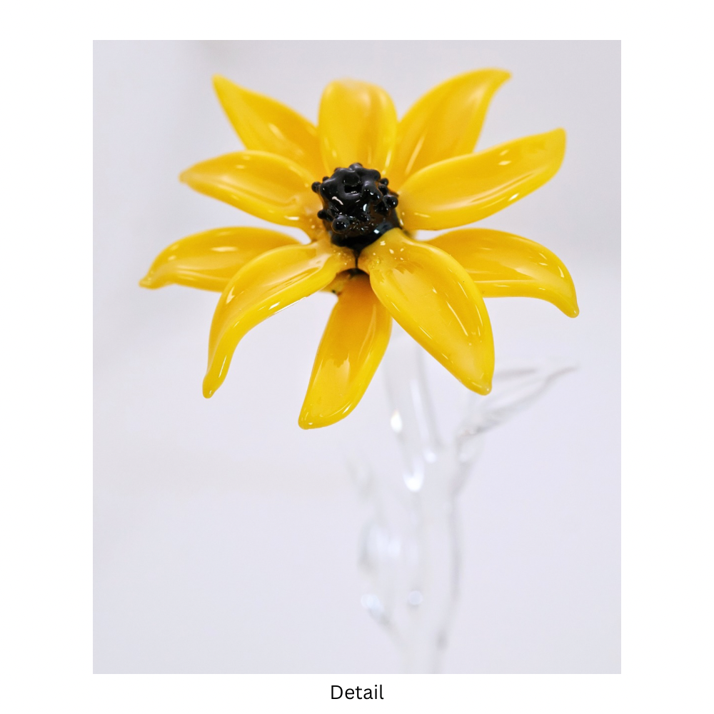 Single Blk Eyed Susan