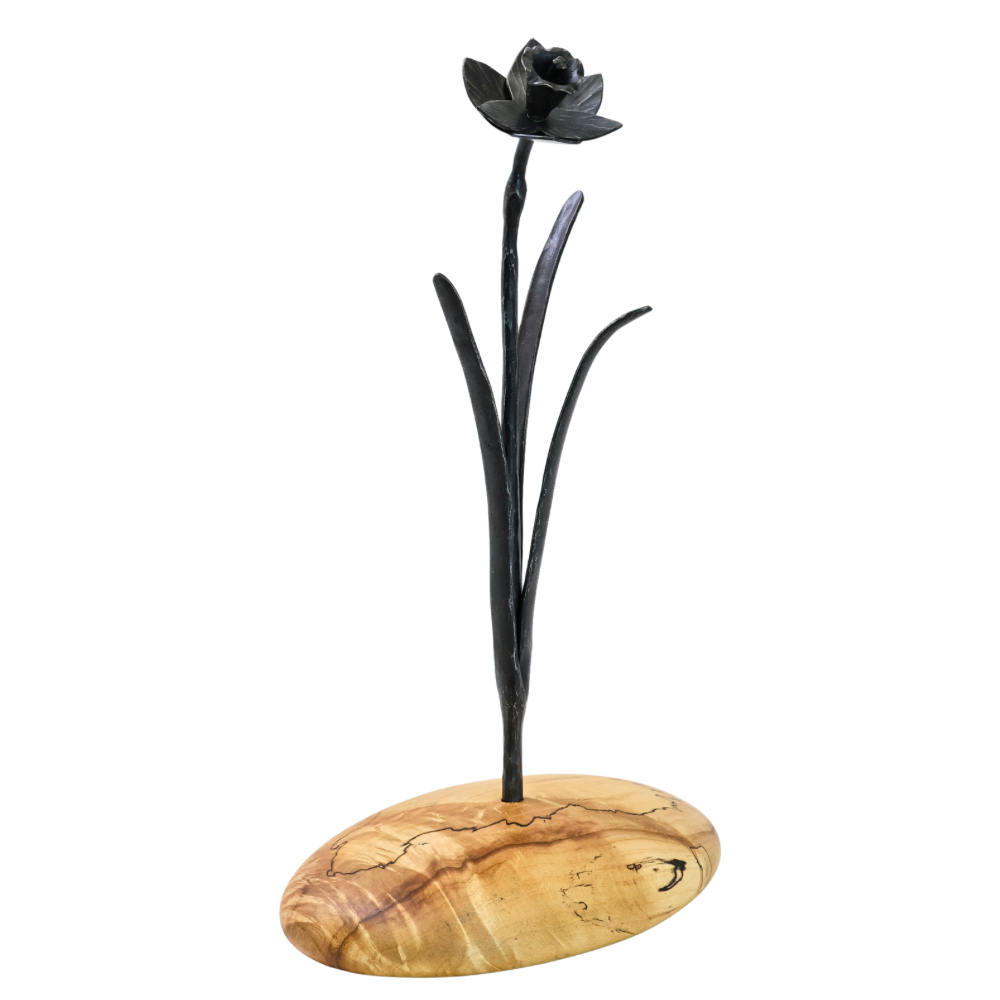 Iron Daffodil on Spalted Maple