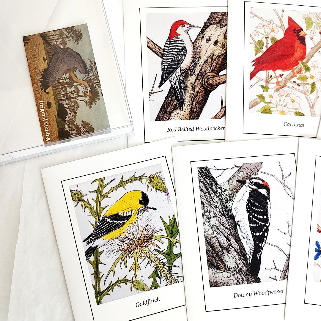 Bird Card Set