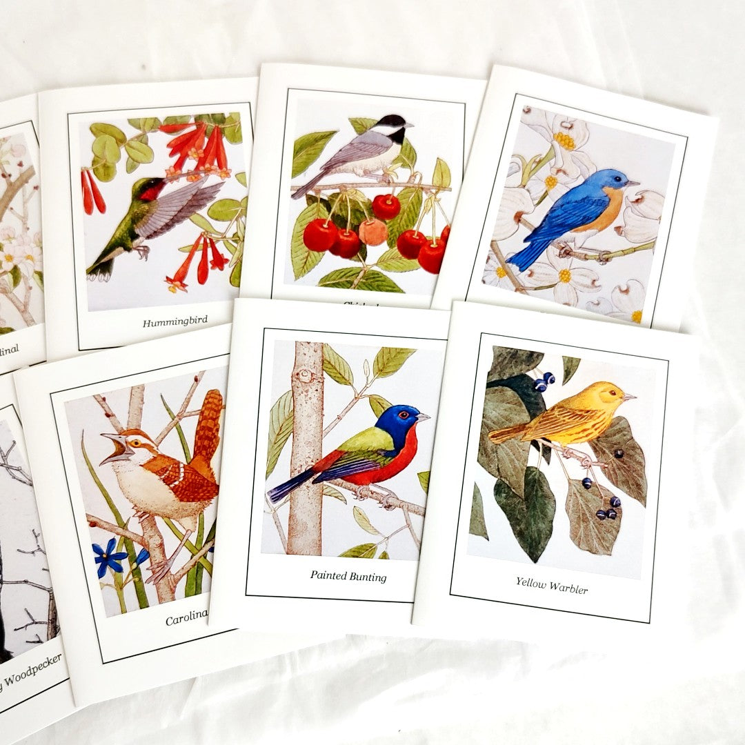 Bird Card Set