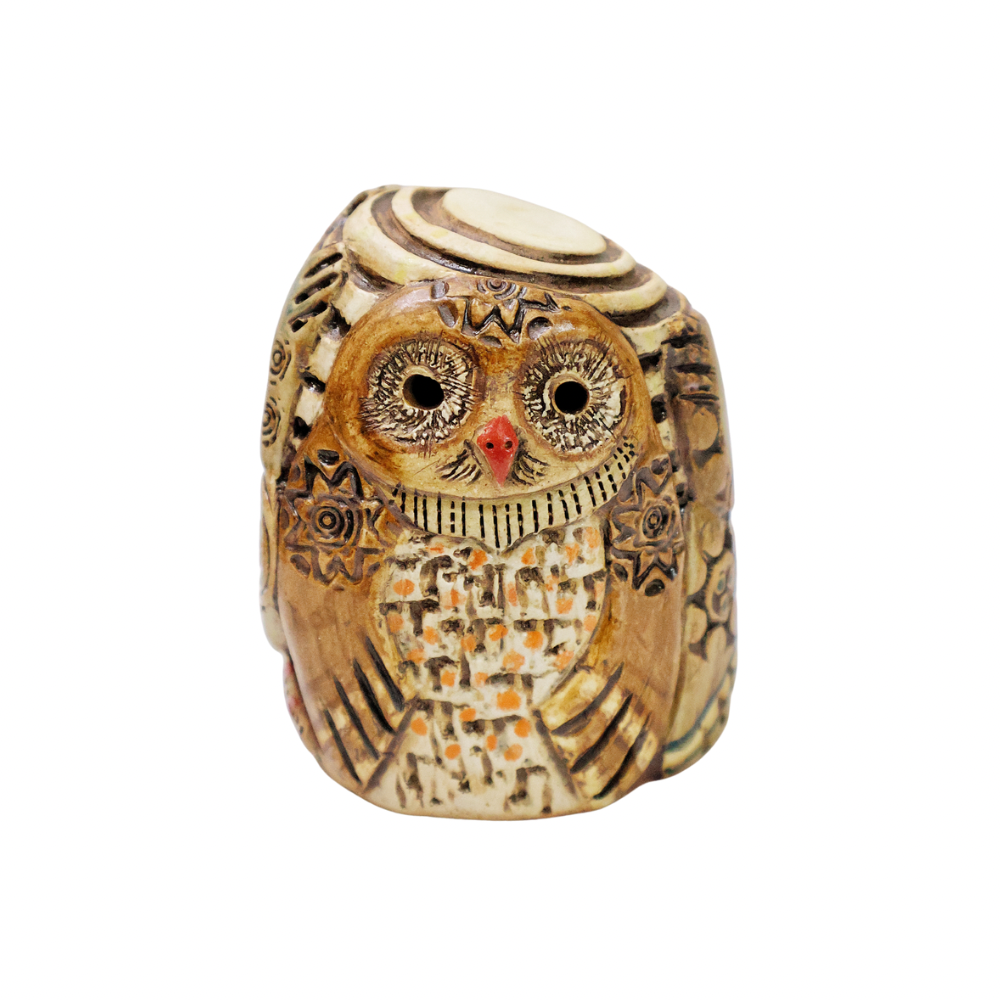 Medium Owl Parliament - Awake & Asleep