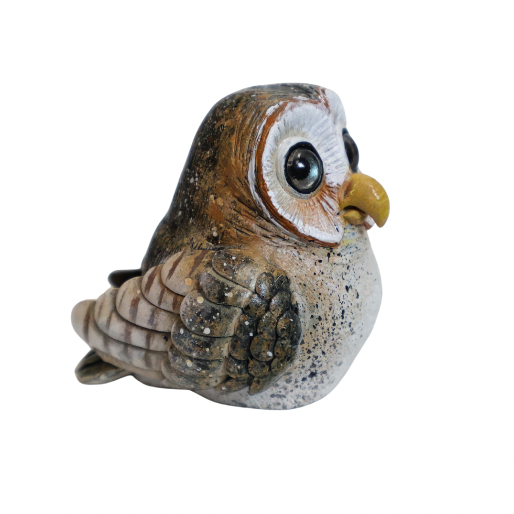 Barn Owl