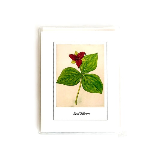 Plant Card Set