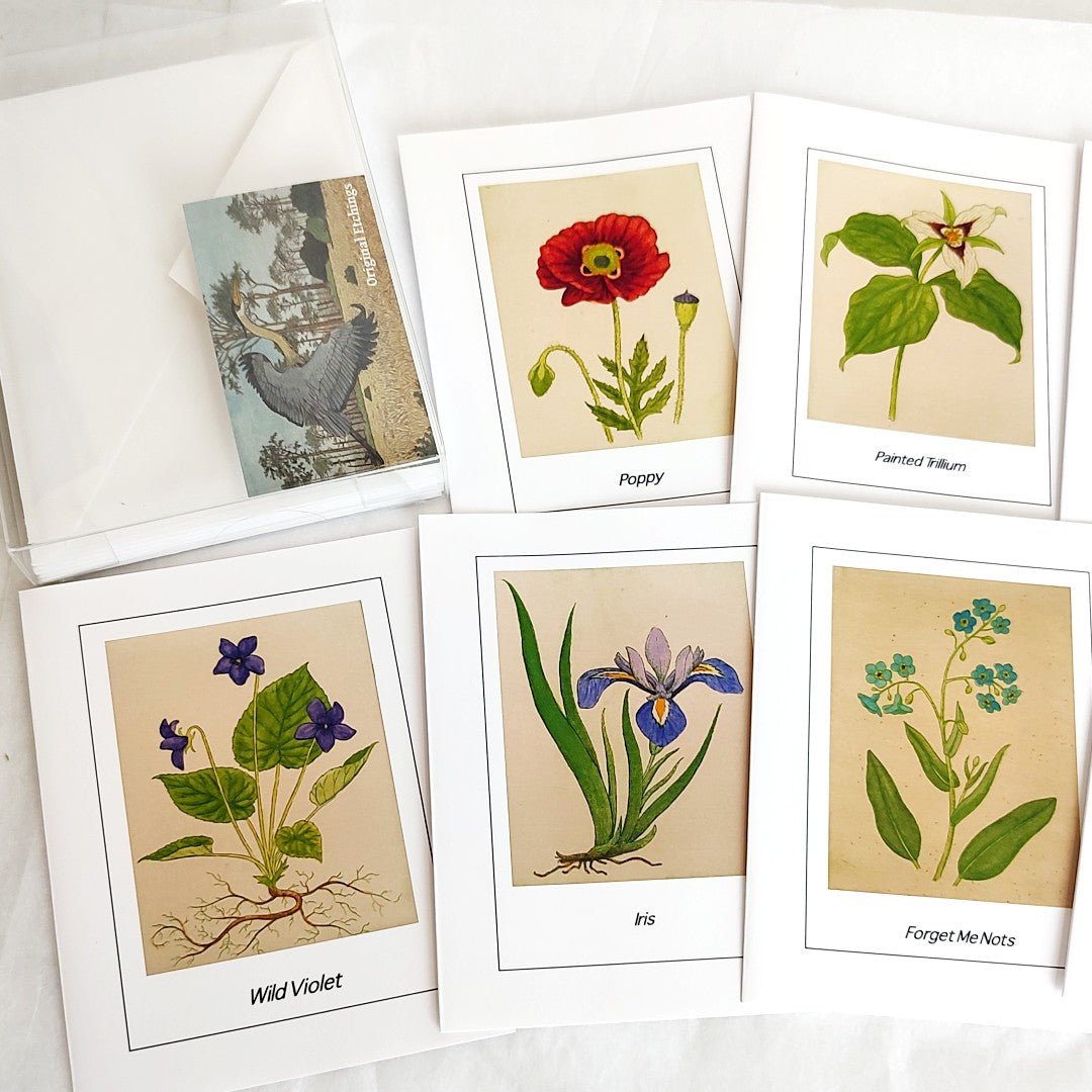 Plant Card Set