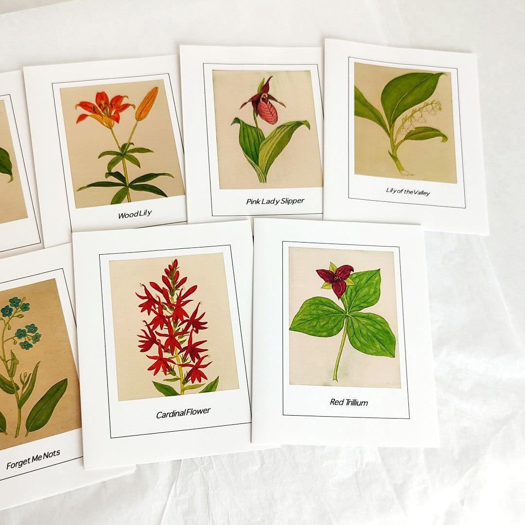 Plant Card Set