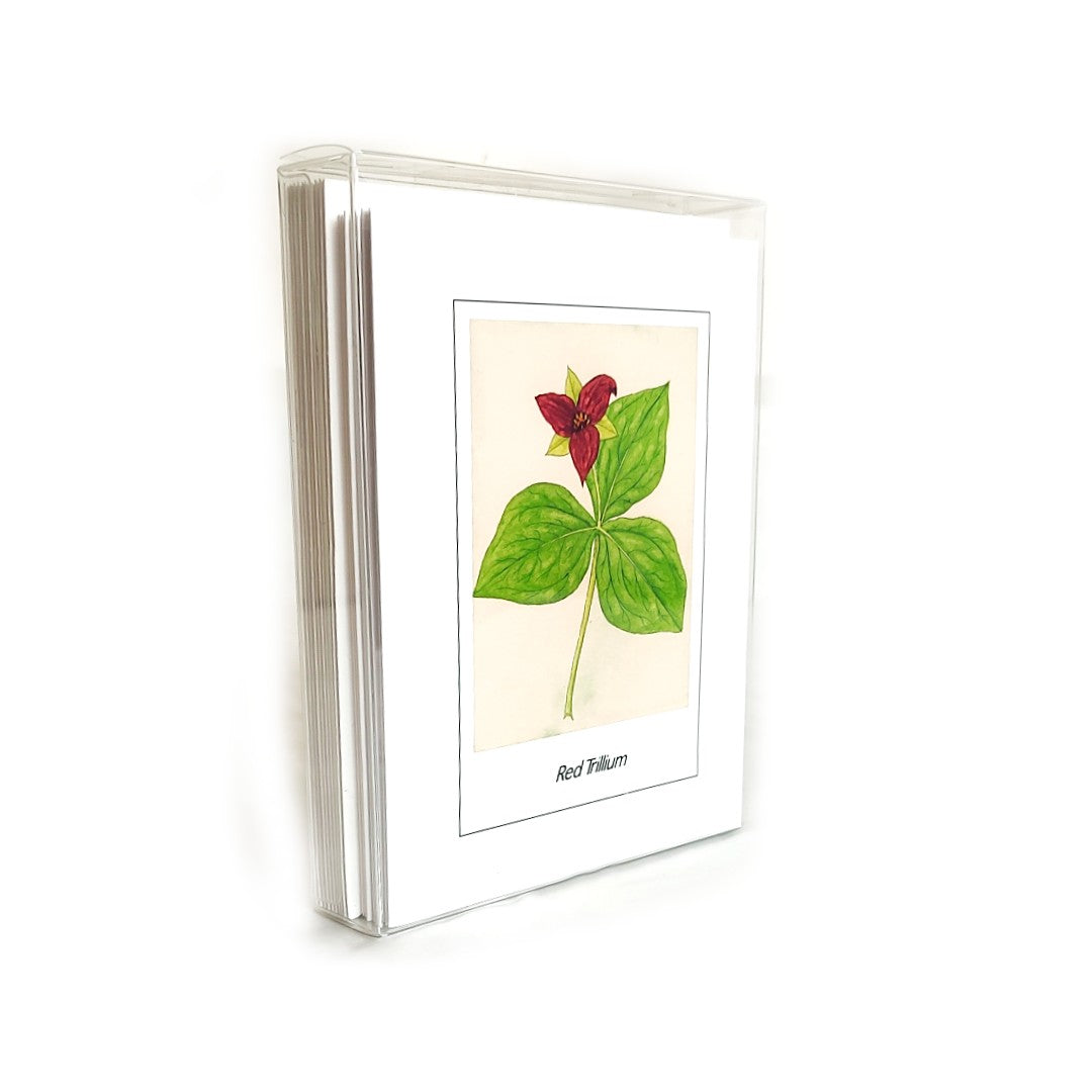 Plant Card Set