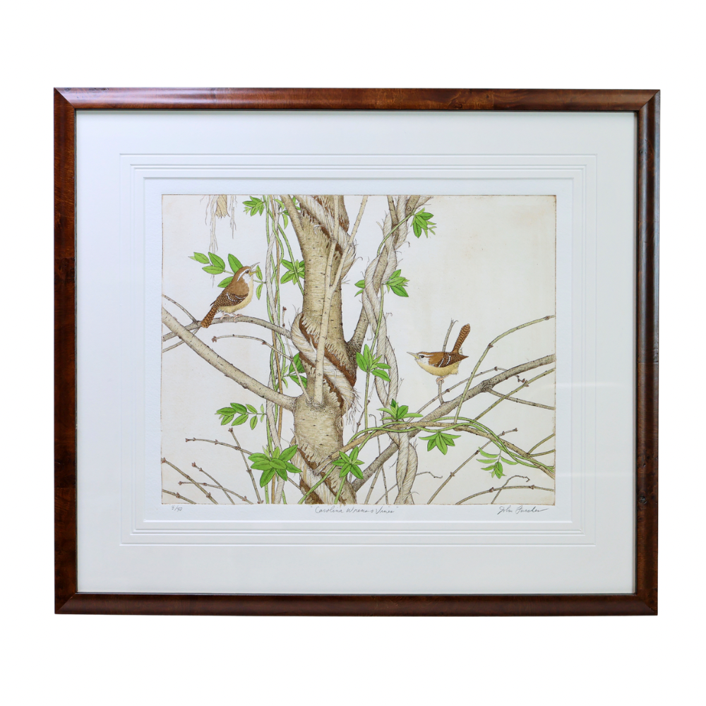 Carolina Wrens & Vines (8/50, 18½x21½")