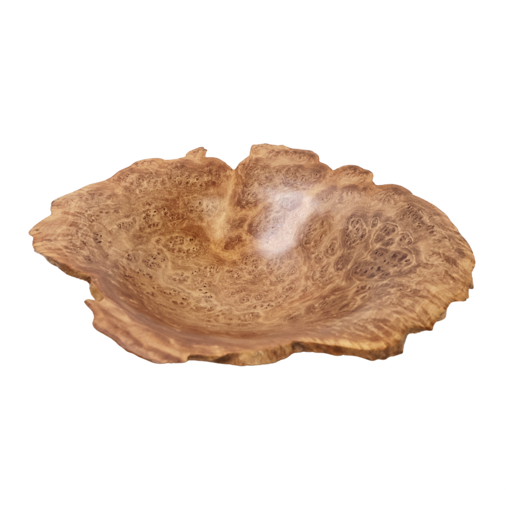 "Snap & Rattle" Dish