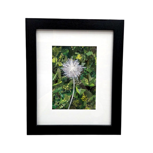 Little Dandy 8x10