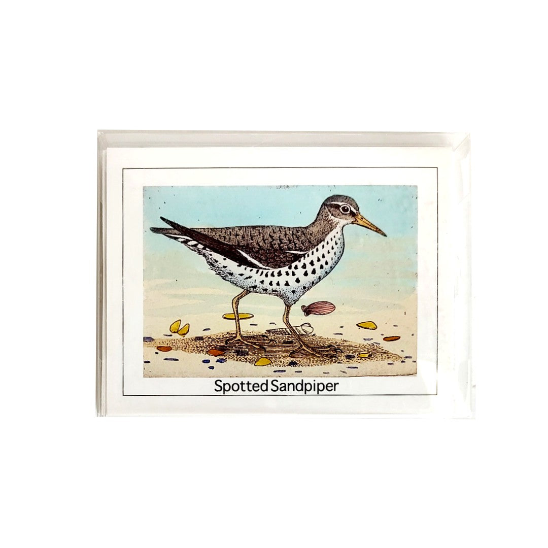 Shorebird Card Set