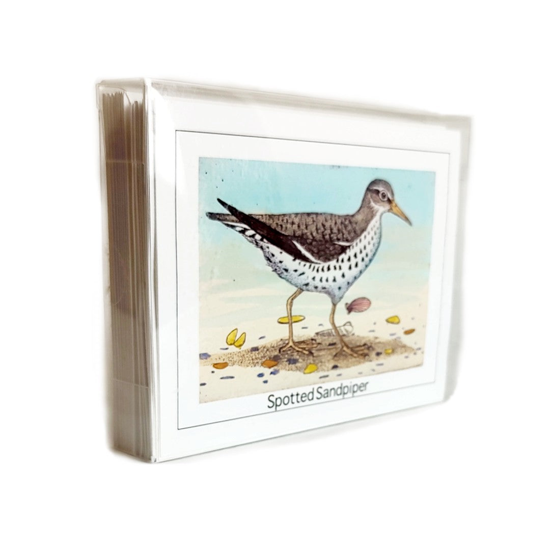 Shorebird Card Set