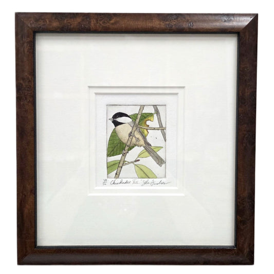 Chickadee XIII Framed