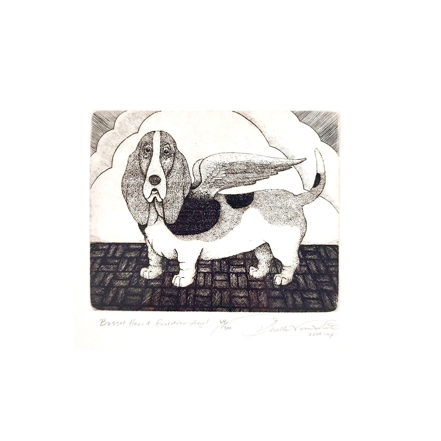 Basset Hound #64