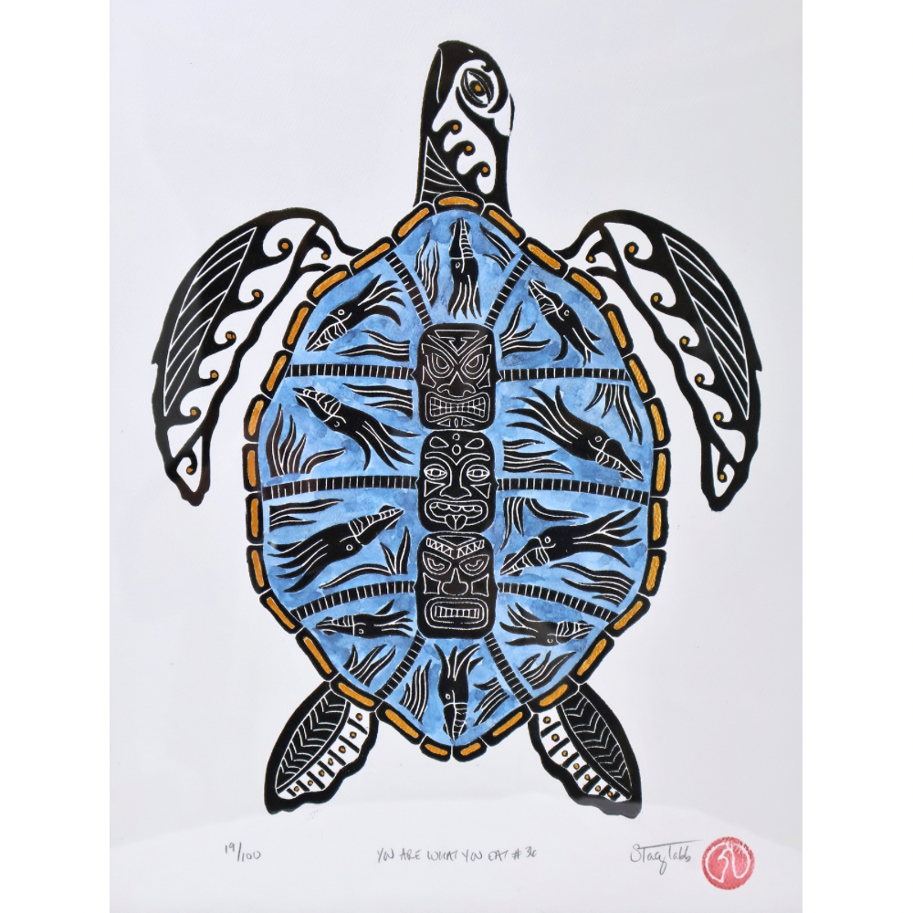 Green Sea Turtle (f)