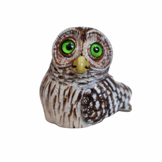 Barred Owl