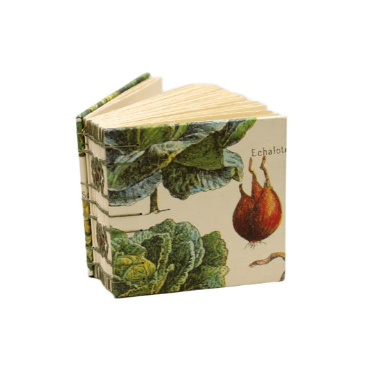 Shallot Cornerstone Journal