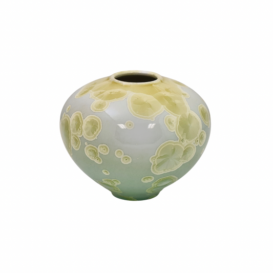 Citrus Round Squat Vase