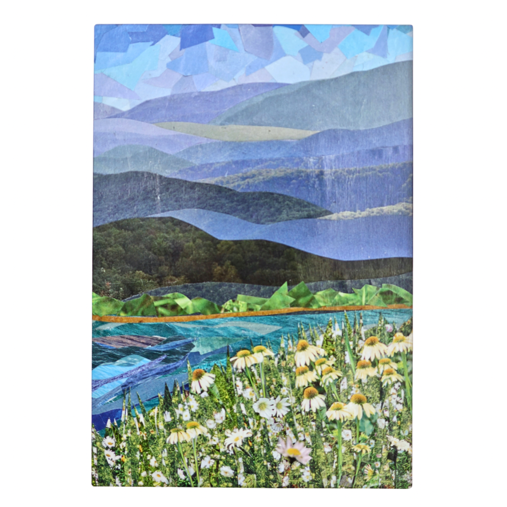 Daisy Mtns 5x7 Framed