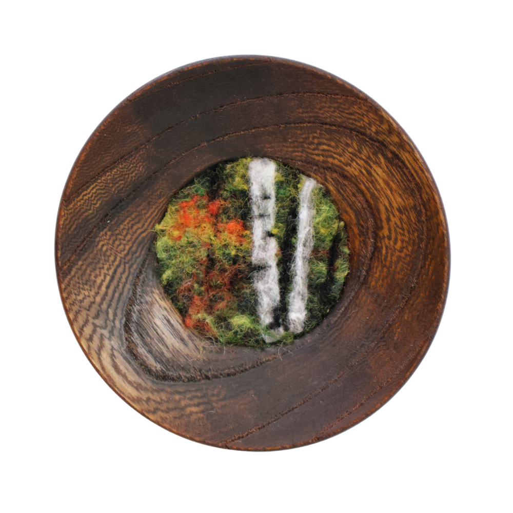 Fall Forest in Saucer