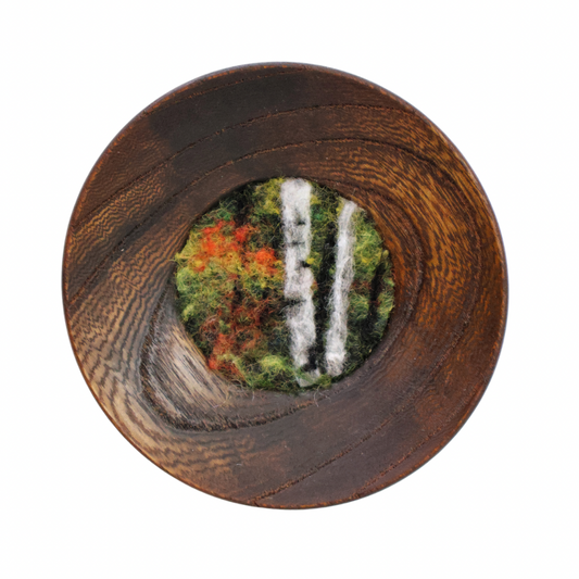 Fall Forest in Saucer