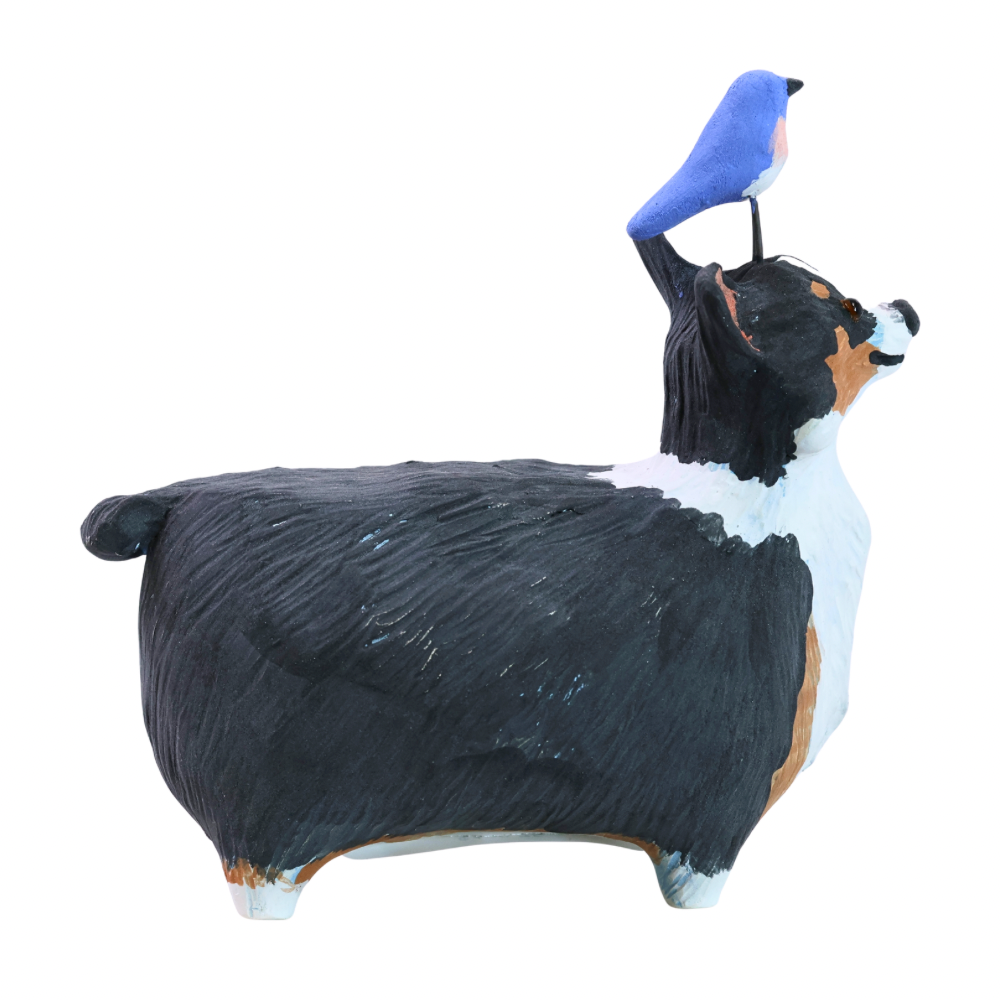 Corgi with Bluebird