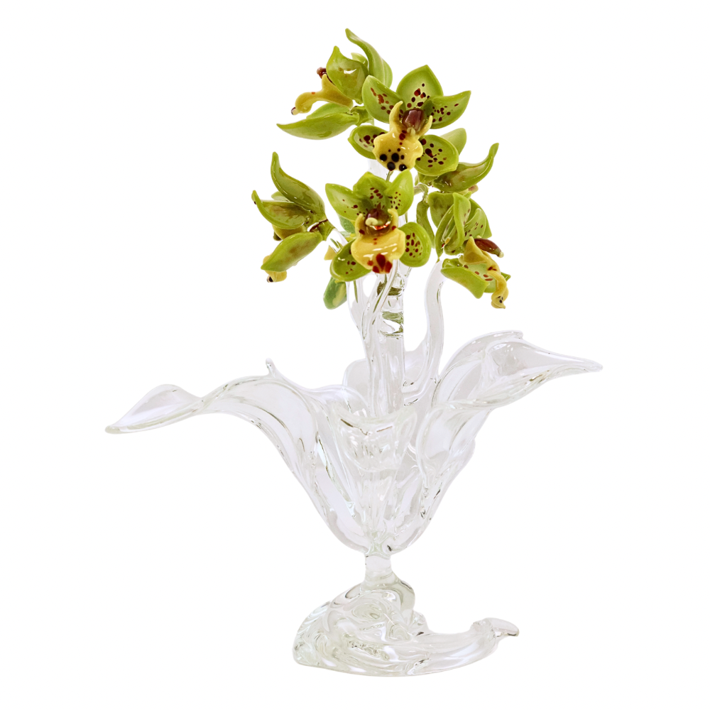 Cymbidium