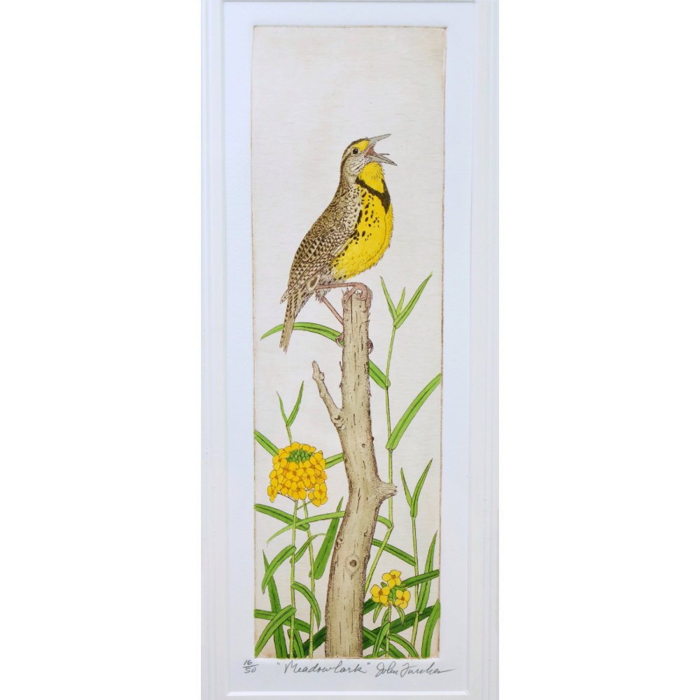 Meadowlark (16/50, 10x18)