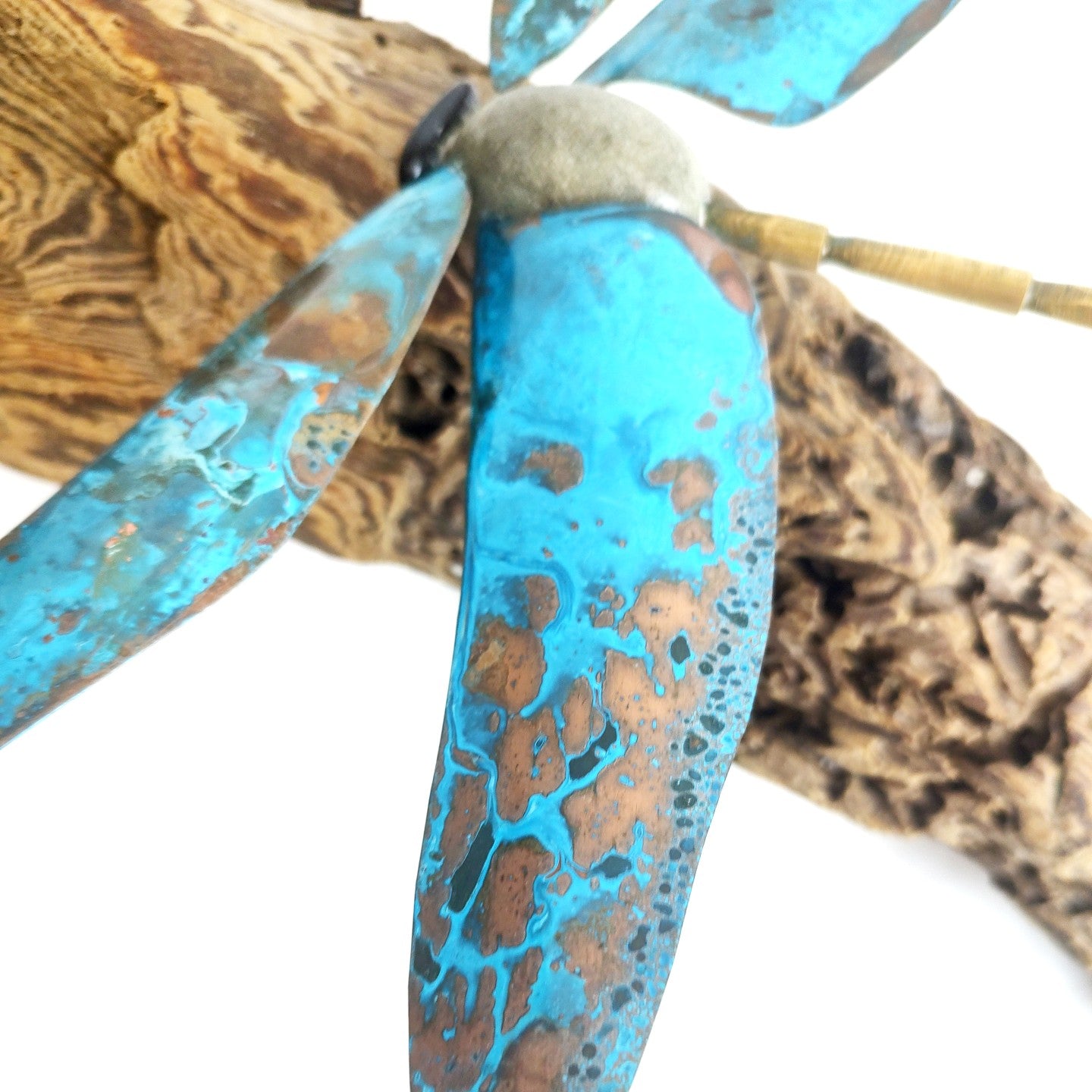 Dragonfly on Wood
