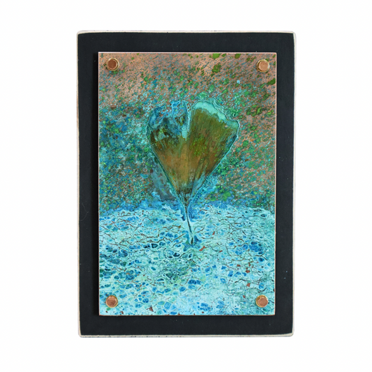 Ginkgo #959