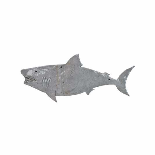 Grey Shark