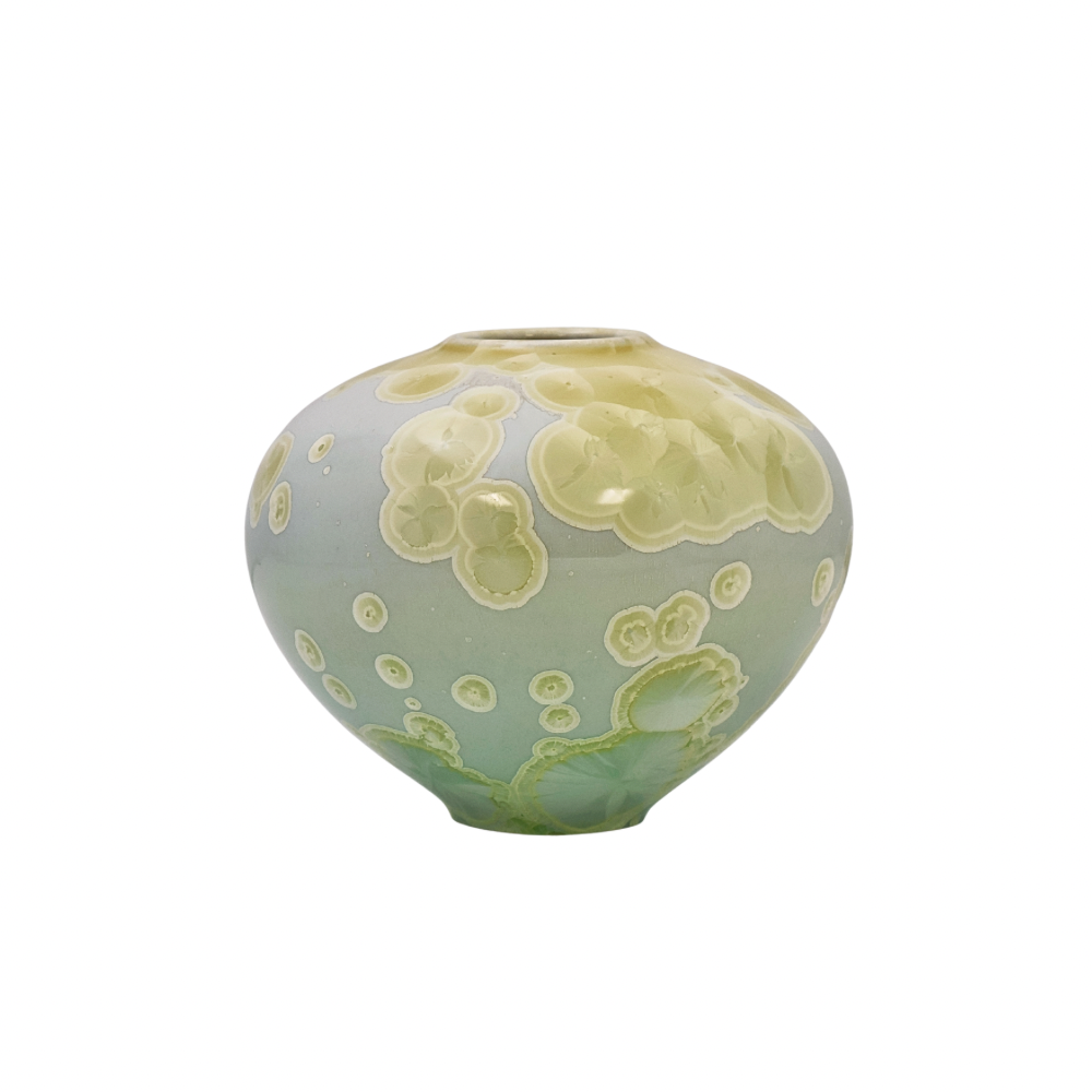 Citrus Round Squat Vase
