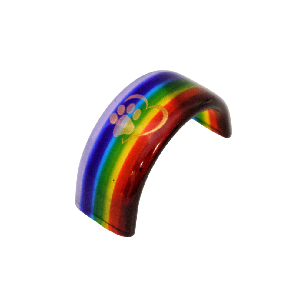 Thin Rainbow Bridge w/paw