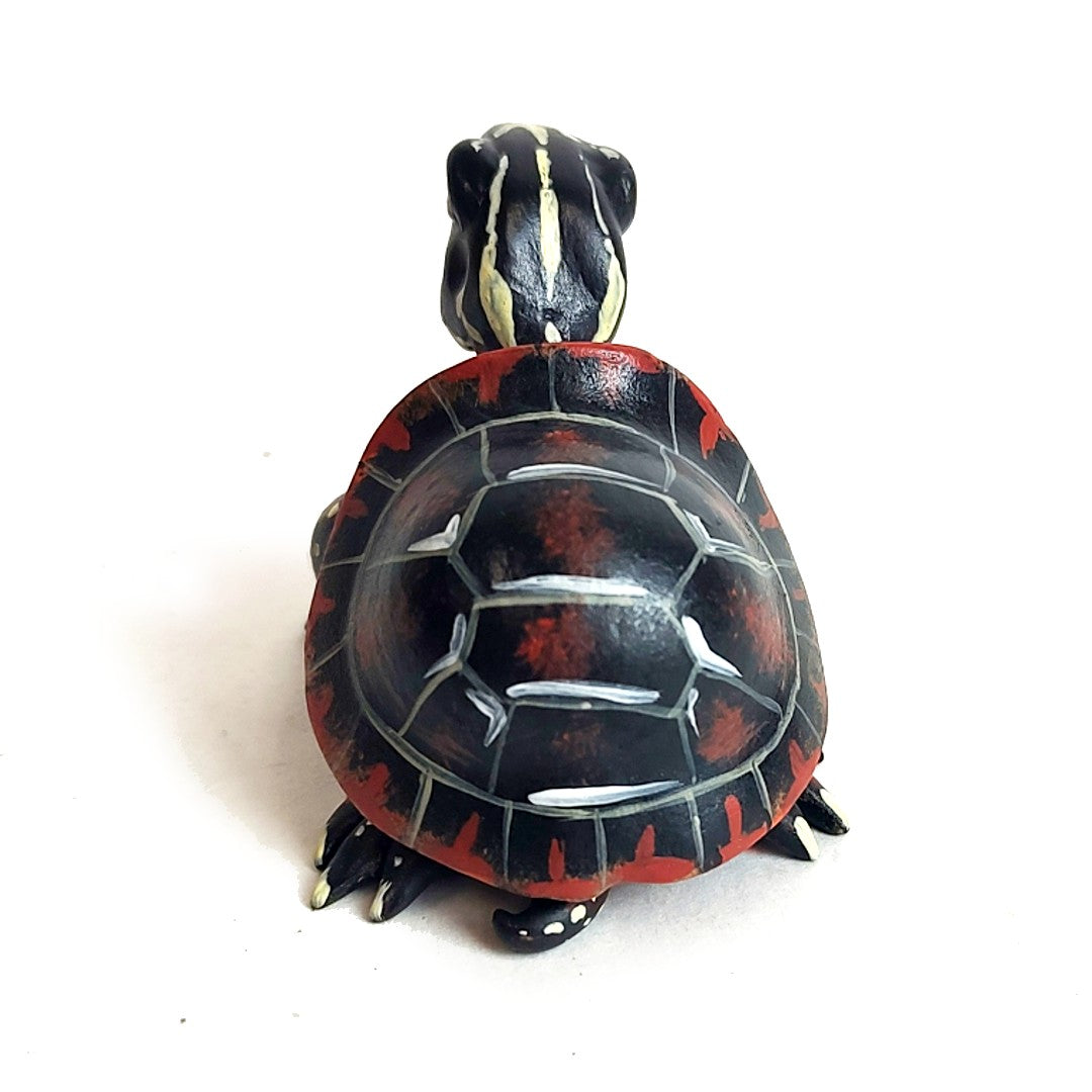 Black Red Turtle