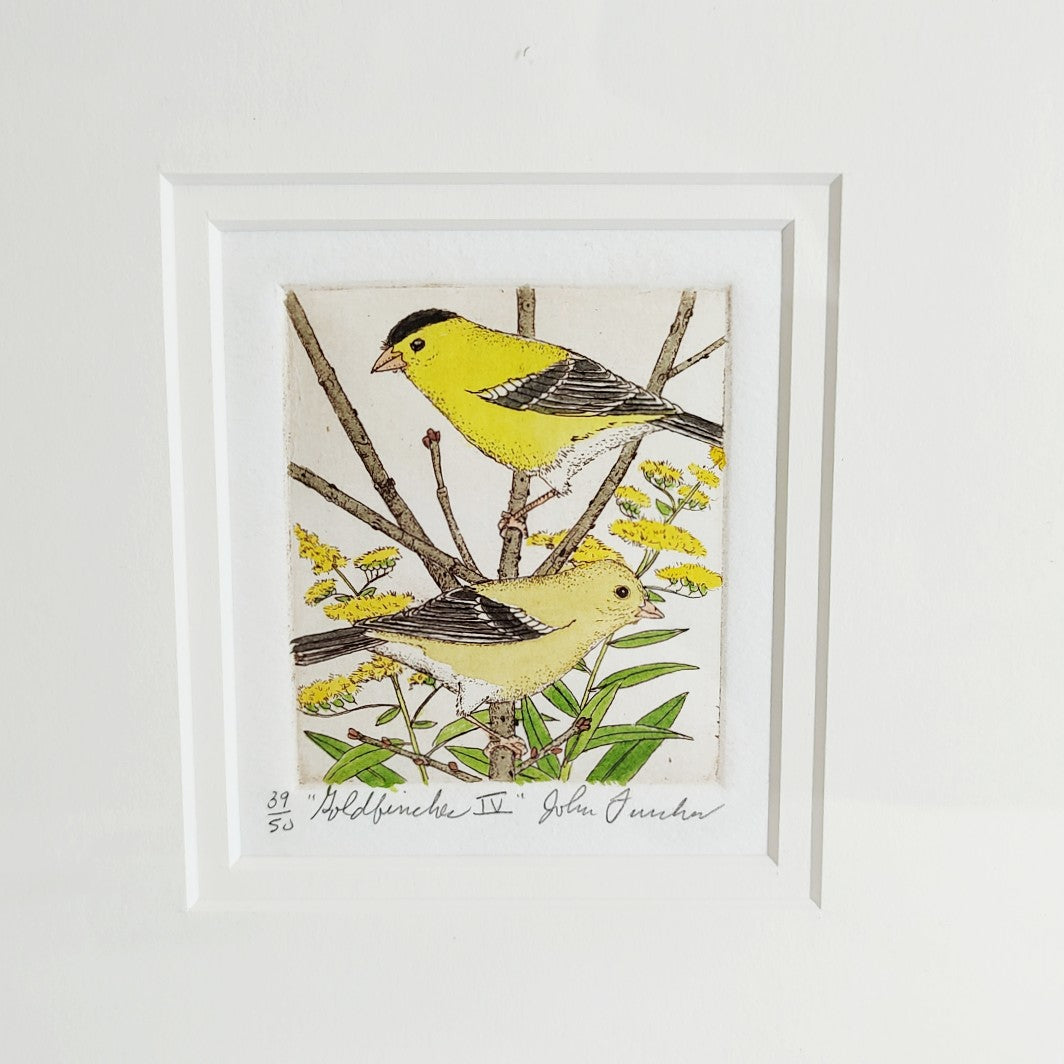 Goldfinches IV-Framed