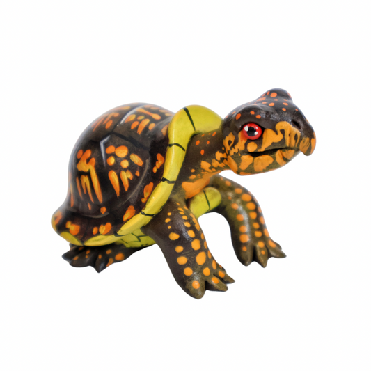 East Bay Turtle